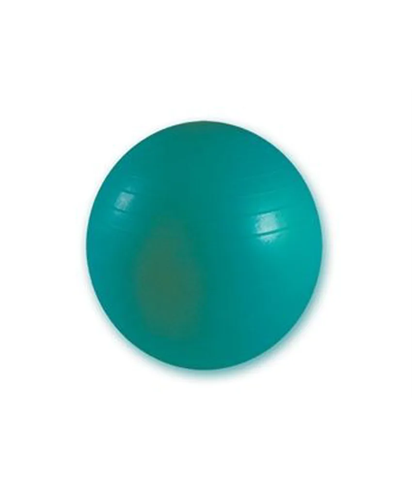 Palla da ginnastica, per gli allenamenti dinamci