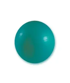 Palla da ginnastica