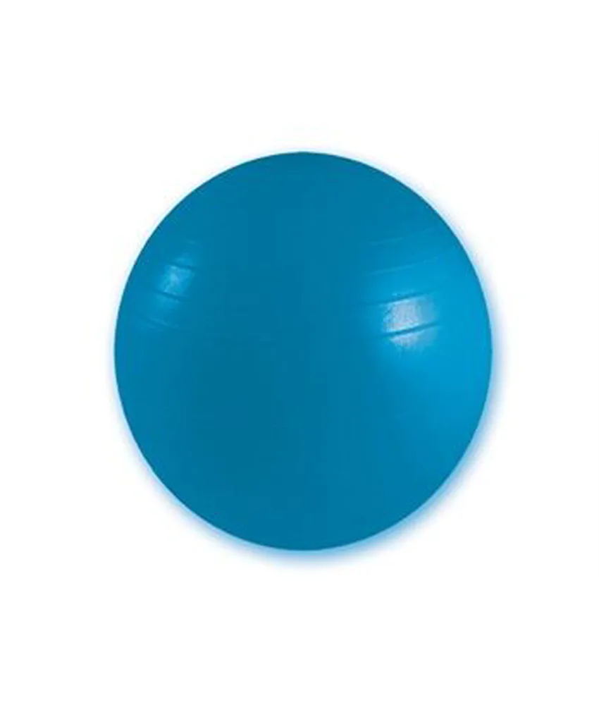Palla da ginnastica, per gli allenamenti dinamci