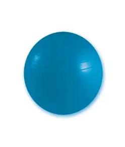 Palla da ginnastica