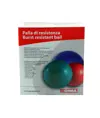 Palla da ginnastica
