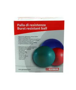 Palla da ginnastica