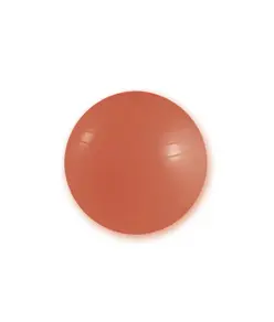 Palla da ginnastica