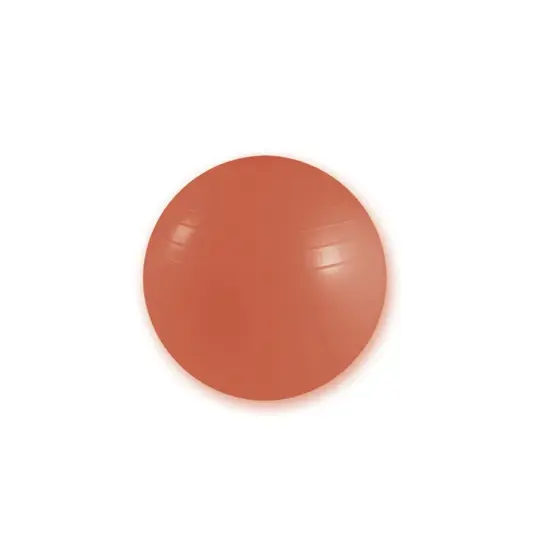 Palla da ginnastica