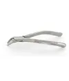 Pinza estrazione dentale