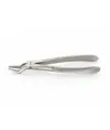 Pinza per estrazione dentale