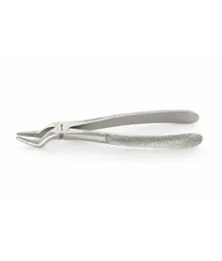 Pinza per estrazione dentale