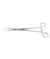 Pinza  Schroeder