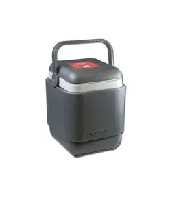 Porta vaccino professionale