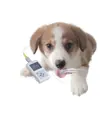 Pulsoximetro veterinario