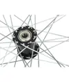 Ruota posteriore