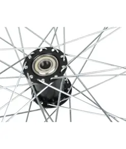 Ruota posteriore
