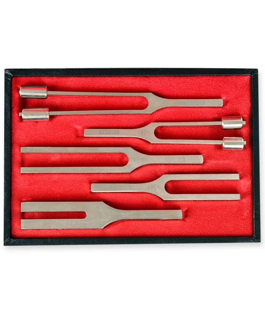 Set 5 diapason, molti tipi di modelli con e senza pesi
