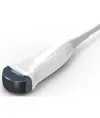 Sonda micro convessa