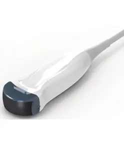 Sonda micro convessa