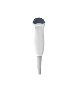 Sonda micro convessa