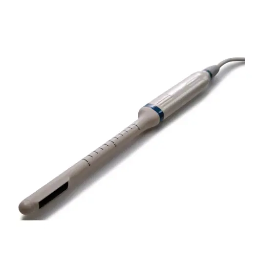 Sonda transrettale