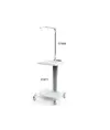Supporto cardio