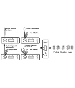 Test per la rilevazione dell'ulcera  HELICOBACTER PYLORI