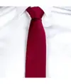Cravatta s/nodo Garys