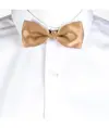 Papillon Garys