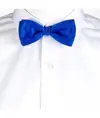 Papillon Garys