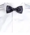 Papillon Garys