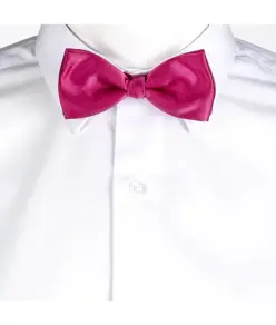 Papillon Garys