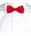Papillon Garys
