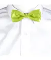 Papillon Garys