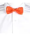 Papillon Garys