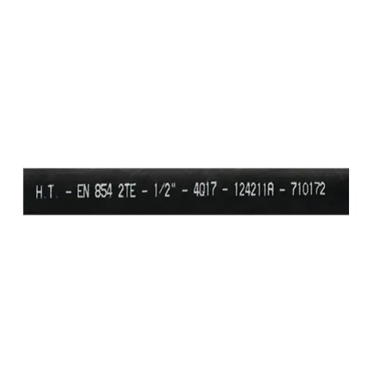 Tubo EN854/2TE Hoses Technology
