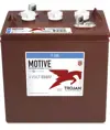 Batteria a ciclo profondo Trojan T105 - 6V 225Ah / 20h - 185Ah / 5h (terminale EUT)
