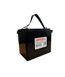 Batteria al litio 12V 105Ah con Bluetooth (LiFePO4)