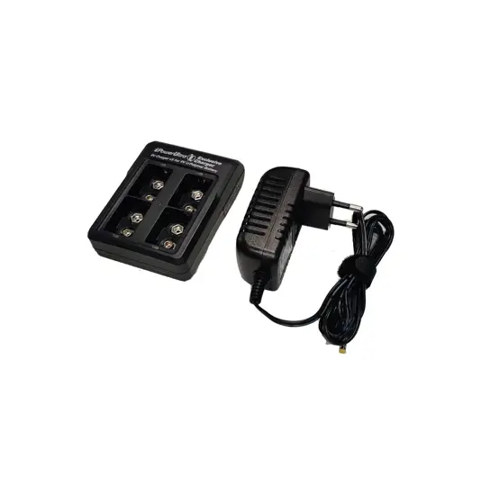 Caricabatterie rapido intelligente iPowerUS per 4 x 9V