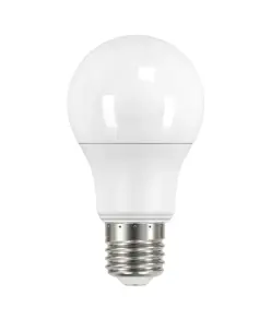 ENERGIZER LED-Glühbirne Globe 806LM E27 Tageslicht 9W - In Box (entspricht 60W)