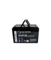 Q-Batteries 12LCP-60 / 12V - 63Ah Blei Akku Zyklentyp AGM - Deep Cycle VRLA