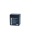 Q-Batteries 12LH-30W 12V 5Ah Blei-Vlies-Akku AGM VRLA Hochstrom USV