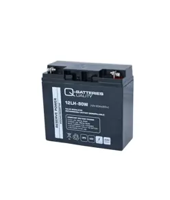 Q-Batteries 12LH-80W 12V 20Ah Blei-Vlies-Akku AGM VRLA Hochstrom USV