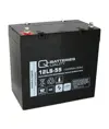 Q-Batteries 12LS-55 / 12V - 55Ah Blei Akku Standard-Typ AGM VRLA 10 Jahres Typ
