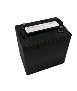 Q-Batteries 6DC-240 6V 240Ah Deep Cycle Traktionsbatterie