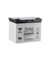 REC36-12I Yuasa Cyklisk Blybatteri