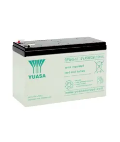 REW45 Yuasa Long-Life High-Drain