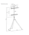 Supporto da pavimento per TV Treppiede, fissaggio cavi, 45" - 65" - Nero