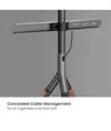 Supporto da pavimento per TV Treppiede, look legno, fissaggio cavi, 40" - 65" - Look legno e gestione cavi