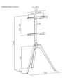 Supporto da pavimento per TV Treppiede, look legno, fissaggio cavi, 45" - 65" - Bianco/Legno