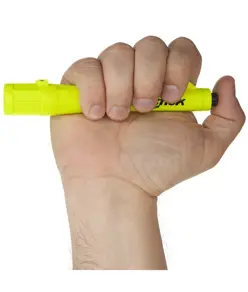 XPP-5410G Torcia ATEX (30 lumen) LED Nightstick