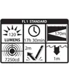 XPP-5422B Torcia ATEX (260 lumen) LED Nightstick