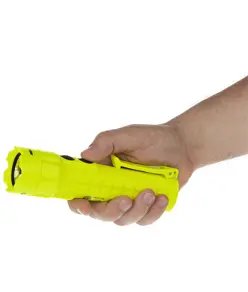 XPP-5422GA Torcia ATEX – 240 lumen LED Nightstick