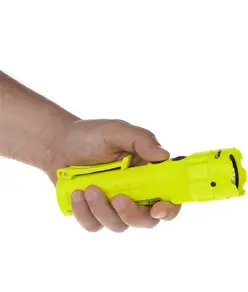 XPP-5422GA Torcia ATEX – 240 lumen LED Nightstick